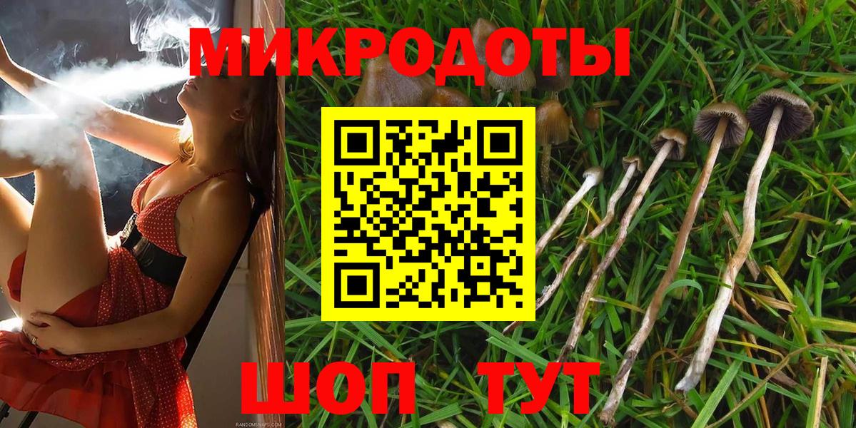 Псилоцибиновые грибы GOLDEN TEACHER Нурлат