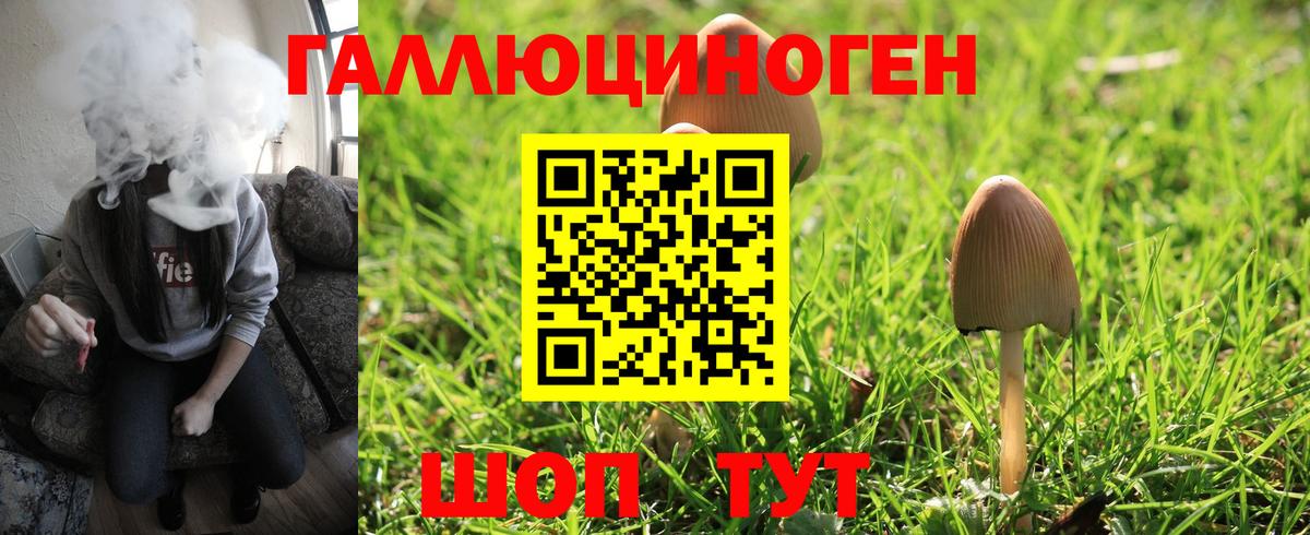 Галлюциногенные грибы MAGIC MUSHROOMS  Галлюциногенные грибы Psilocybine cubensis  Нурлат  Вход с VPN 